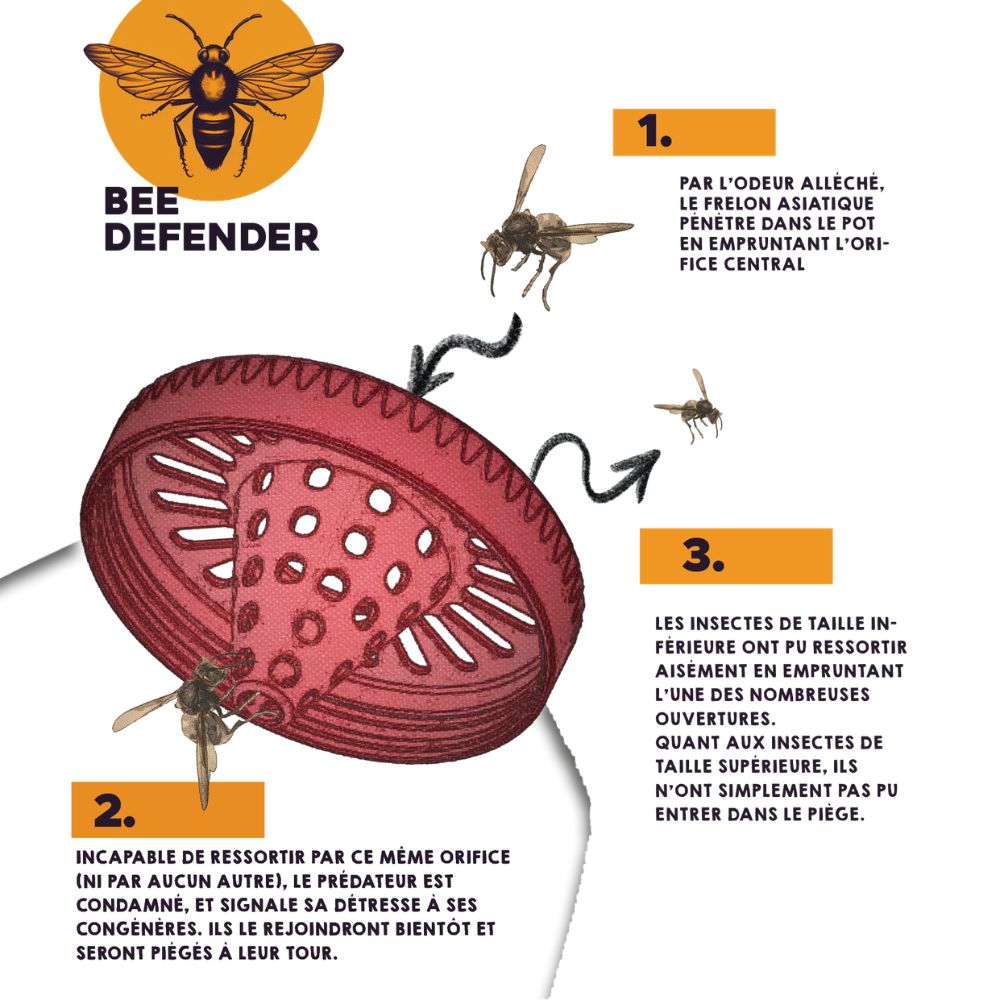 Piege Bee Defender - Compatible Nutella (lot de 2)