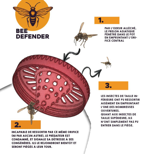 Piege Bee Defender - Compatible Nutella (lot de 2)